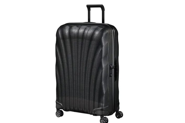 interior of packed case showing zippered dividers and washable liner